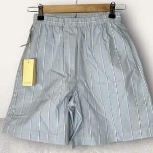 Aritzia Wilfred free Striped Blue Shorts